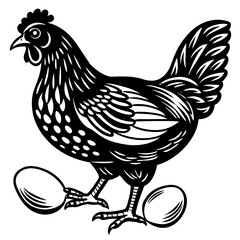 Chicken with eggs vintage illustration vector set