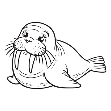 recommend clip art: Line art of walrus cartoon vector illustration