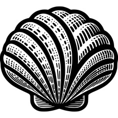 Shell pearl mollusk in monochrome. Scallop top view. Simple minimalistic vector in black ink drawing on transparent background
