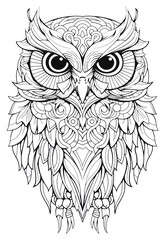 Obraz premium PNG Owl sketch doodle drawing