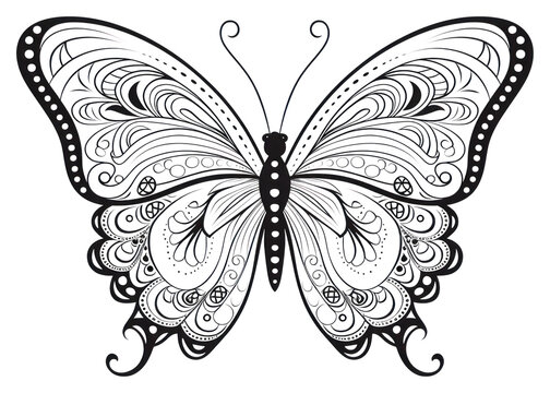 PNG Butterfly sketch pattern drawin. AI generated Image by rawpixel.