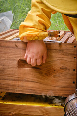 Unidentified person lifting the top chamber of a beehive to spray smoke into the hive.