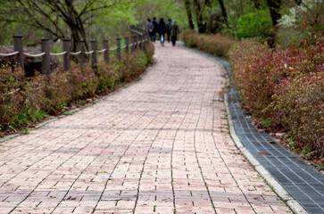 View of the paved walkway in the park