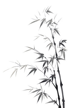 PNG  Bamboo leaves plant white monochrome
