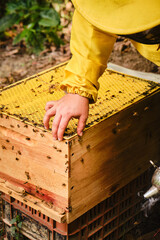 Beekeeper's hand placing a queen exclusion grid over the lower chamber of an open hive.