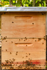 side view of bee hive on wood in an apiary