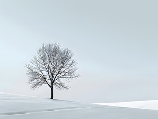 Solitary Tree in Winter Landscape