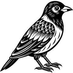 Fototapeta premium Bird vector illustration. 