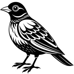    Bird vector illustration.
