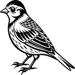    Bird vector illustration.
