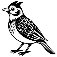    Bird vector illustration.
