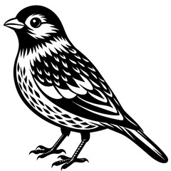    Bird vector illustration.
