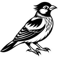    Bird vector illustration.
