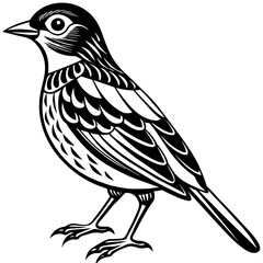    Bird vector illustration.
