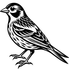    Bird vector illustration.
