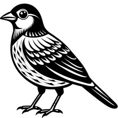    Bird vector illustration.
