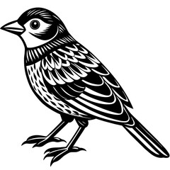    Bird vector illustration.

