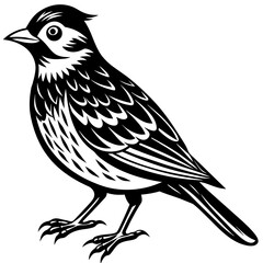    Bird vector illustration.
