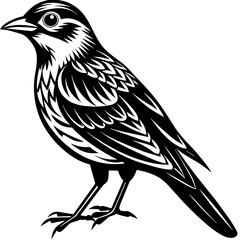    Bird vector illustration.
