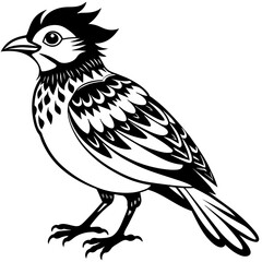    Bird vector illustration.
