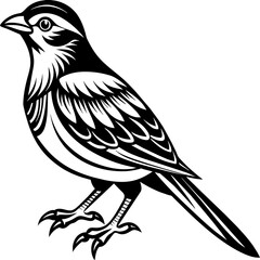    Bird vector illustration.
