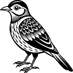    Bird vector illustration.
