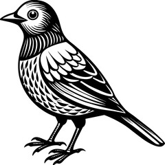    Bird vector illustration.

