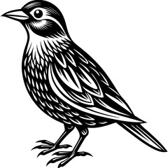    Bird vector illustration.
