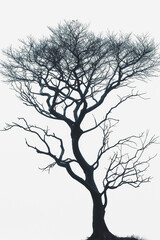Obraz premium A tree is depicted in black and white, with no leaves or branches