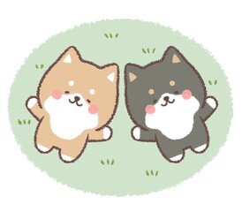 お昼寝をする柴犬と黒柴犬