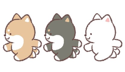 走る柴犬と黒柴犬と白柴犬