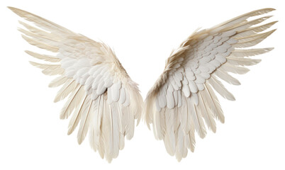 Naklejka premium PNG Angel wing bird transparent background