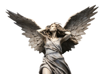 Fototapeta premium PNG Sculpture angel wing white background