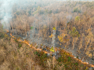 Bushfire is burning near power transmission tower line. - 784956928