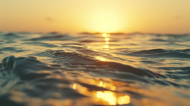 Golden hour, calm sea, close-up, straight-on shot, sun kissing ocean, tranquil beauty 