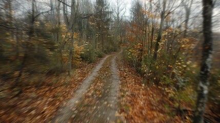 Fototapeta premium Forest Pathways: Narrow focus on pathways through the forest, leading the eye and abstracting the surrounding landscape.
