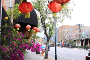flowers in the street, china town los angeles