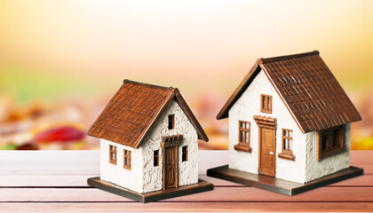 two miniature, detailed model houses