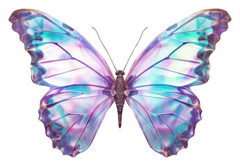 PNG  Butterfly iridescent animal insect white background