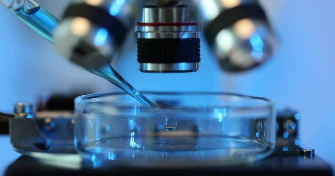 Microscopic view of a drop of liquid on a glass slide under microscope