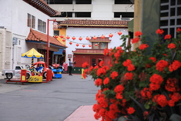 street with flowers china town los angeles