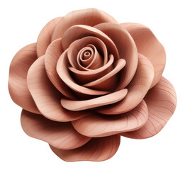 Rose flower plant white background inflorescence - obrazy, fototapety, plakaty