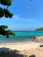 beach with palm trees