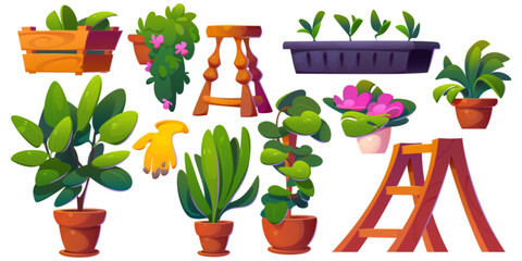 Home garden interior with plant and flower in pot set. Indoor greenhouse room decor with shelf and flowerpot icon collection. Sprout and ficus design for store patio or terrace with houseplant. - obrazy, fototapety, plakaty