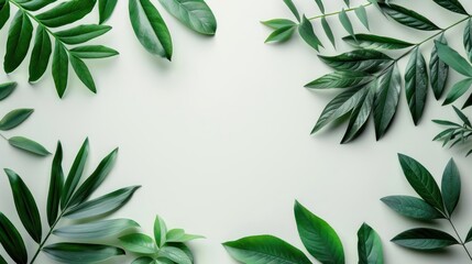 A frame of green leaves on a white background