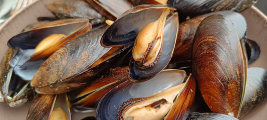 moules cuites, en gros plan, dans une assiette	