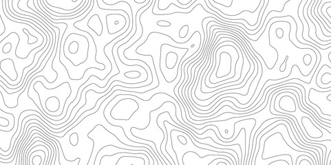 White topology , topography vector abstract contour - obrazy, fototapety, plakaty