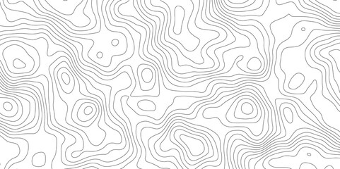 White topology , topography vector abstract contour