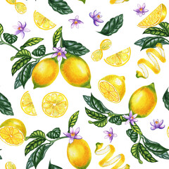 Lemon fruits and flowers on branches watercolor seamless pattern. Endless background with blooming citrus twigs for wallpaper and fabric. Summer hand drawn mediterranean print.