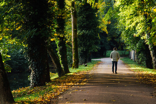 un homme marchant seul sur un chemin en automne. Fin de vie. Route automnale avec des arbres et un homme de dos. Balade sous les arbres durant l'automne. Changement de saison. Solitude humaine. Matin